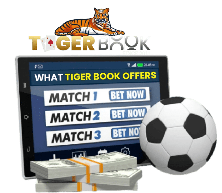 online cricket betting id